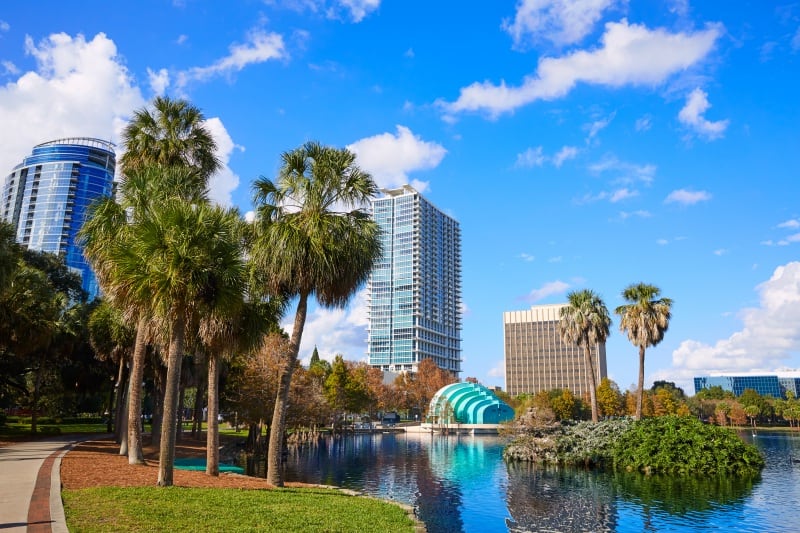 A lake surrounded by palm trees and tall buildings